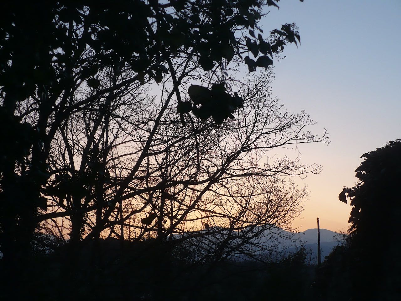 Figure 47:  Hillside near Céret.