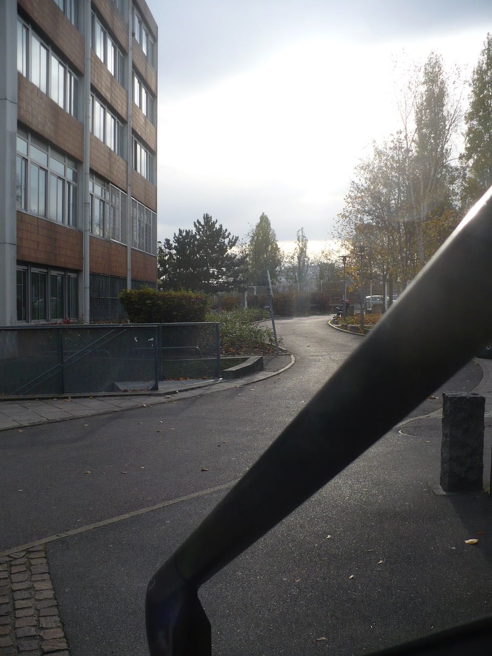 Figure 19: The view outside the Philosophy Department where people liked to smoke.